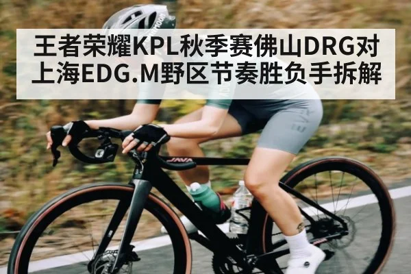 王者荣耀KPL秋季赛佛山DRG对上海EDG.M野区节奏胜负手拆解 | kaiyun